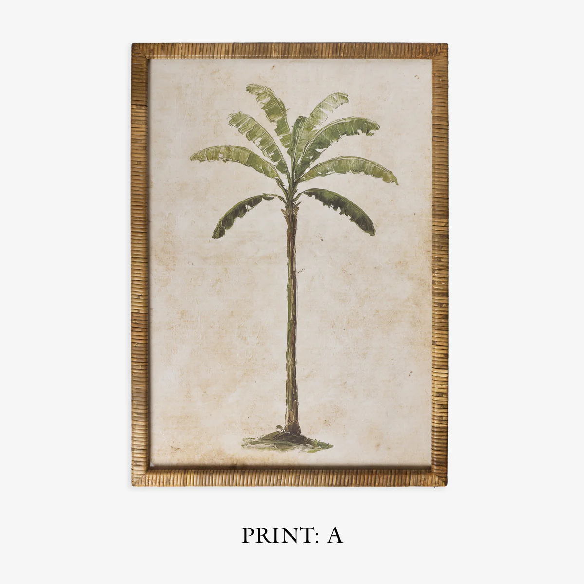 Palm Tree In Rattan Frame (Print A) - Image 4