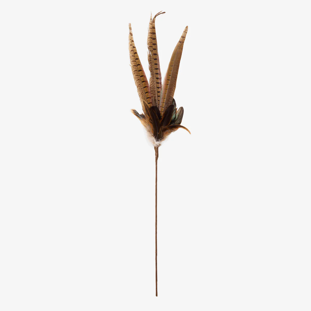 Pheasant Feather Pick 61cm - Image 3