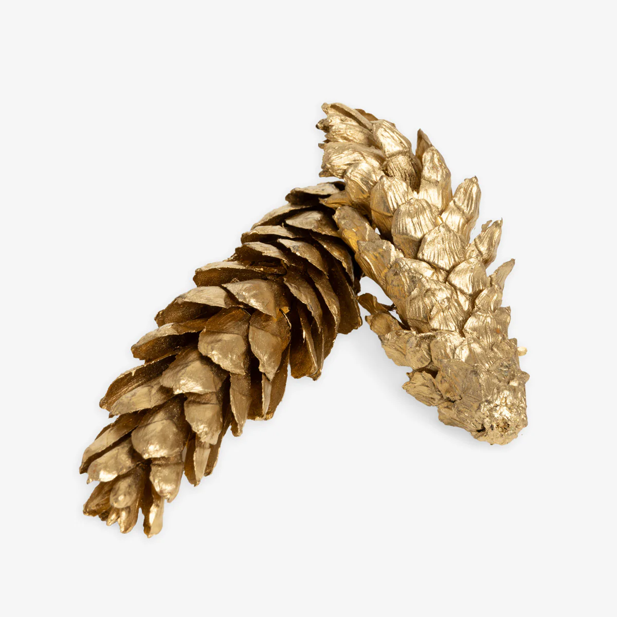 Pine Cones In Box Large (Gold)