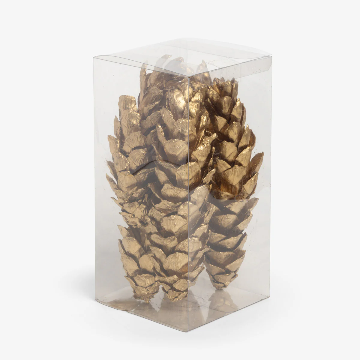 Pine Cones In Box Large (Gold) - Image 3