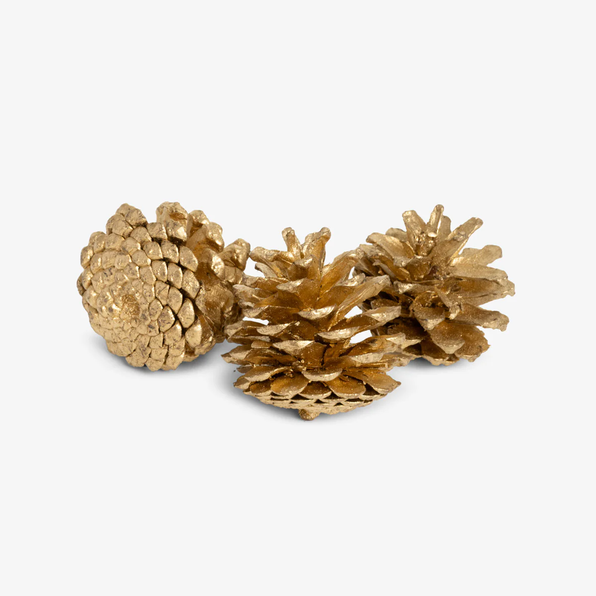 Pine Cones In Box Small (Gold)