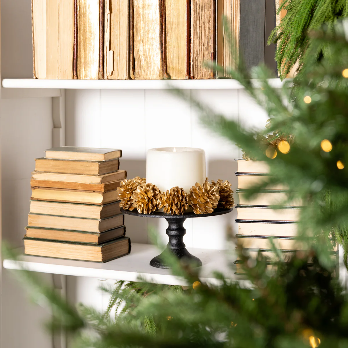 Pine Cones In Box Small (Gold) - Image 2