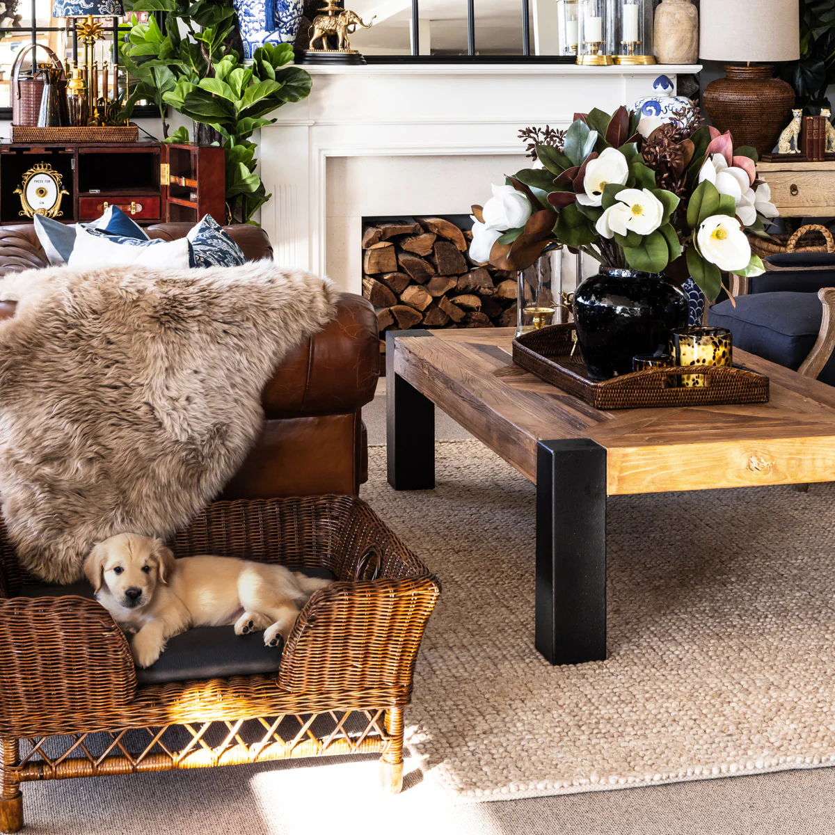 Rattan Pet Beds Brown - Image 3
