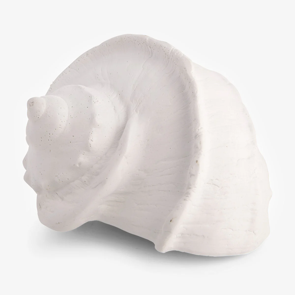Sea Snail Resin Shell (White)