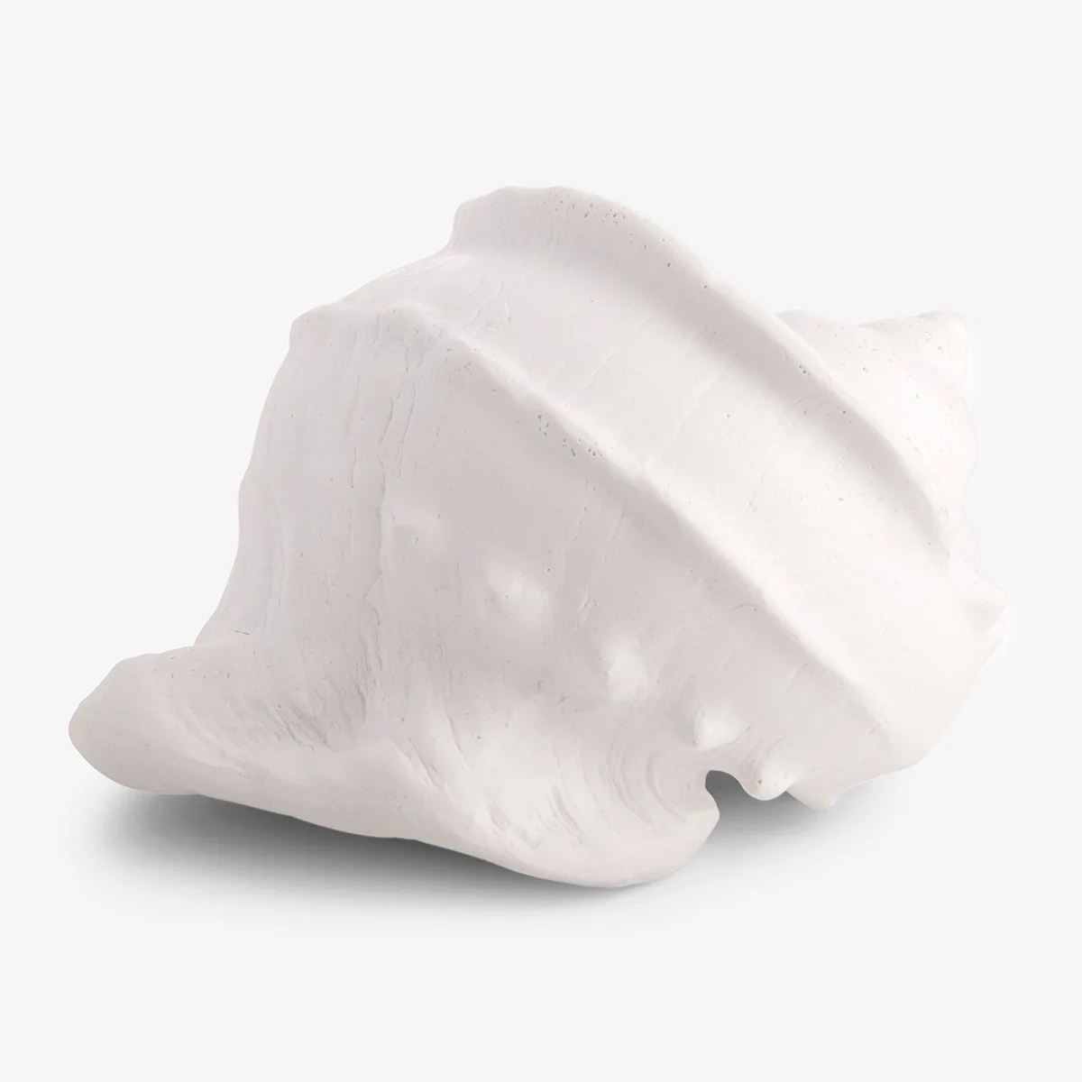 Sea Snail Resin Shell (White) - Image 4