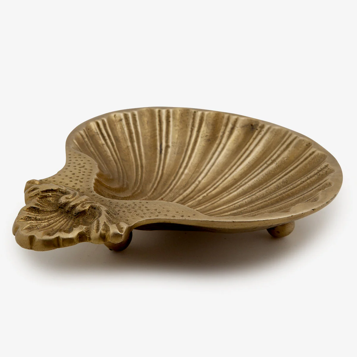 Shell Dish (Brass) - Image 3