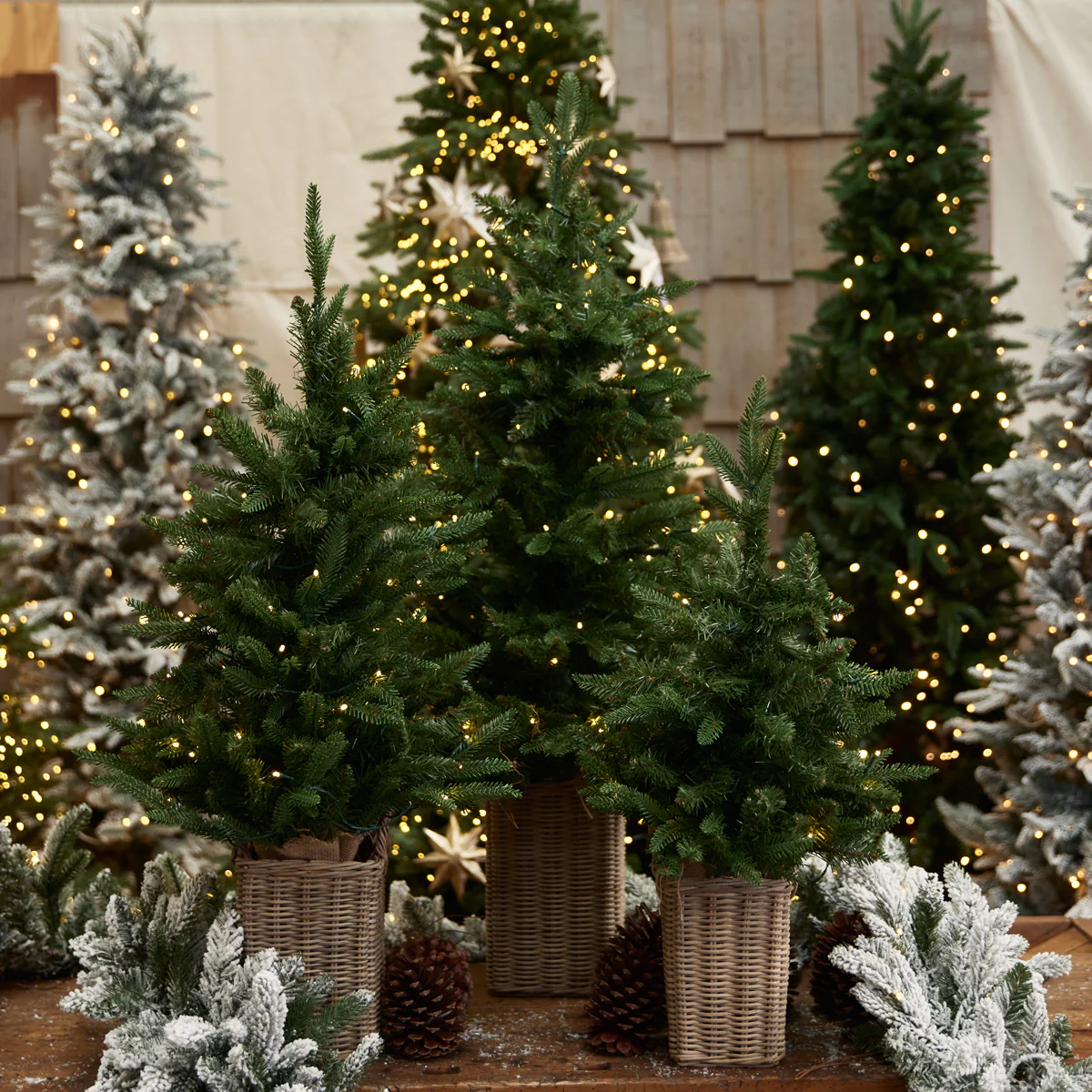 Vermont Potted Pre Lit Christmas Tree PRE-ORDER - Image 3