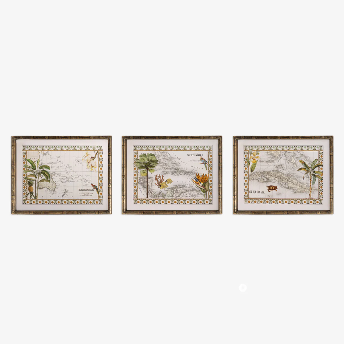 Vintage Map Turtle (Print 3) - Image 3