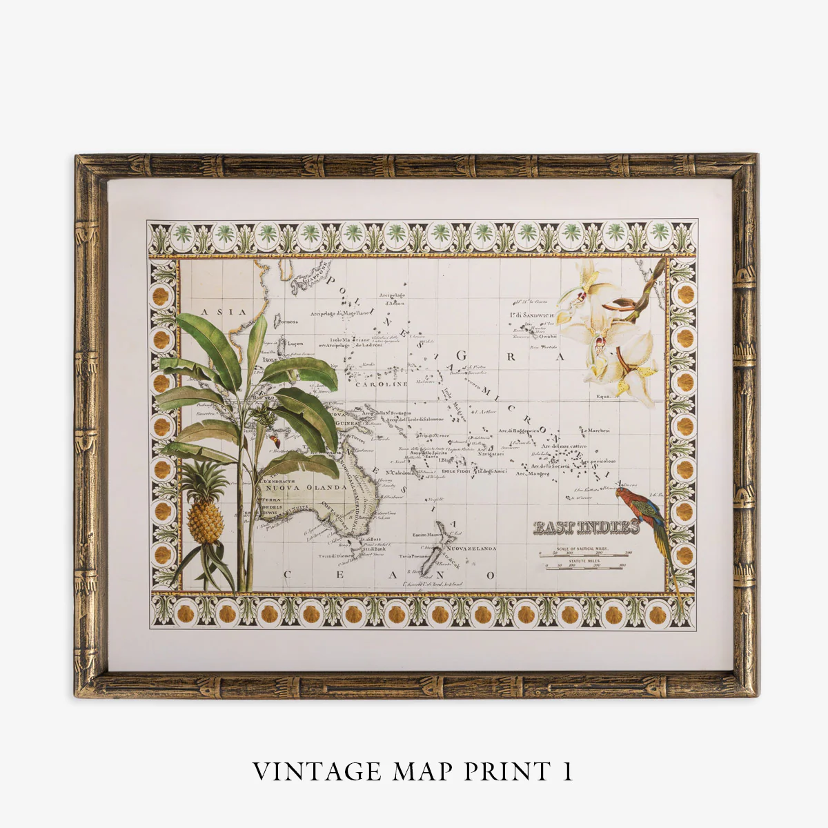 Vintage Map Turtle (Print 3) - Image 4