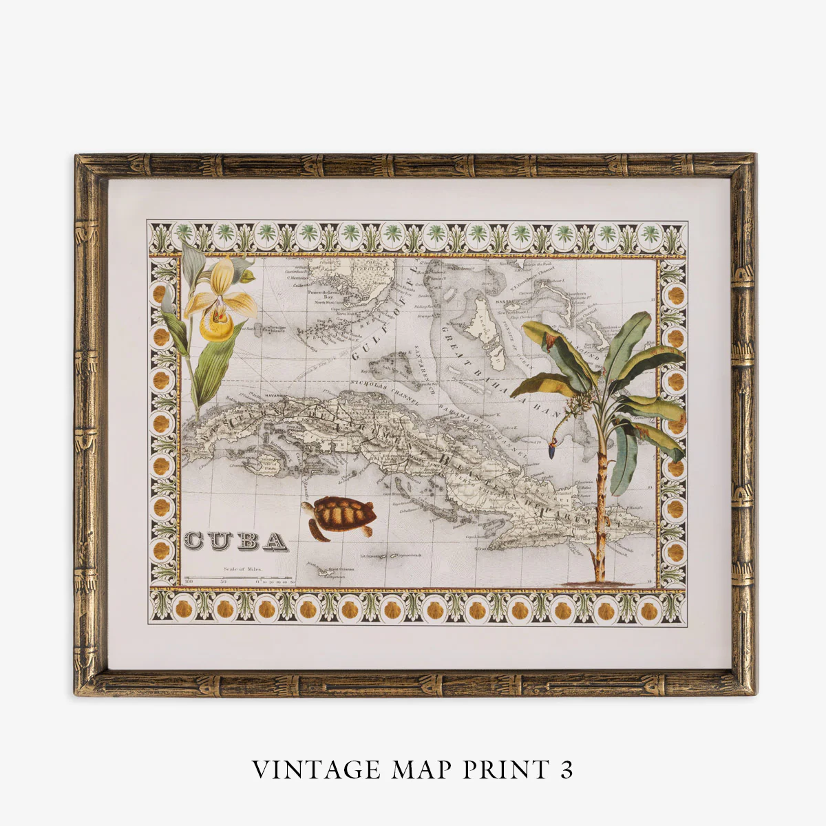 Vintage Map Turtle (Print 3) - Image 6