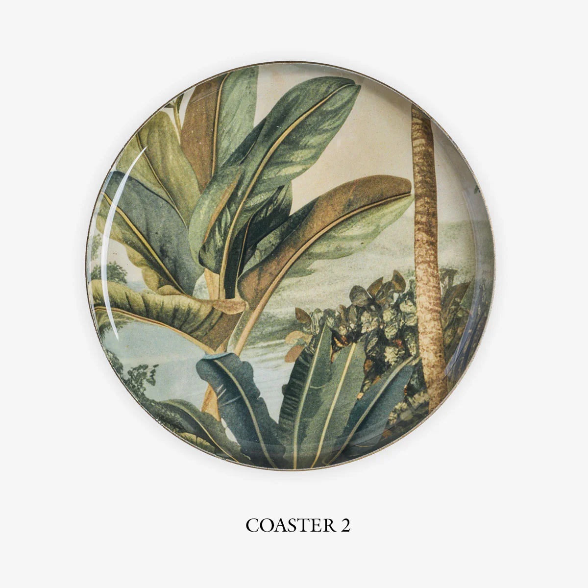 Vintage Palm Coasters - Image 4
