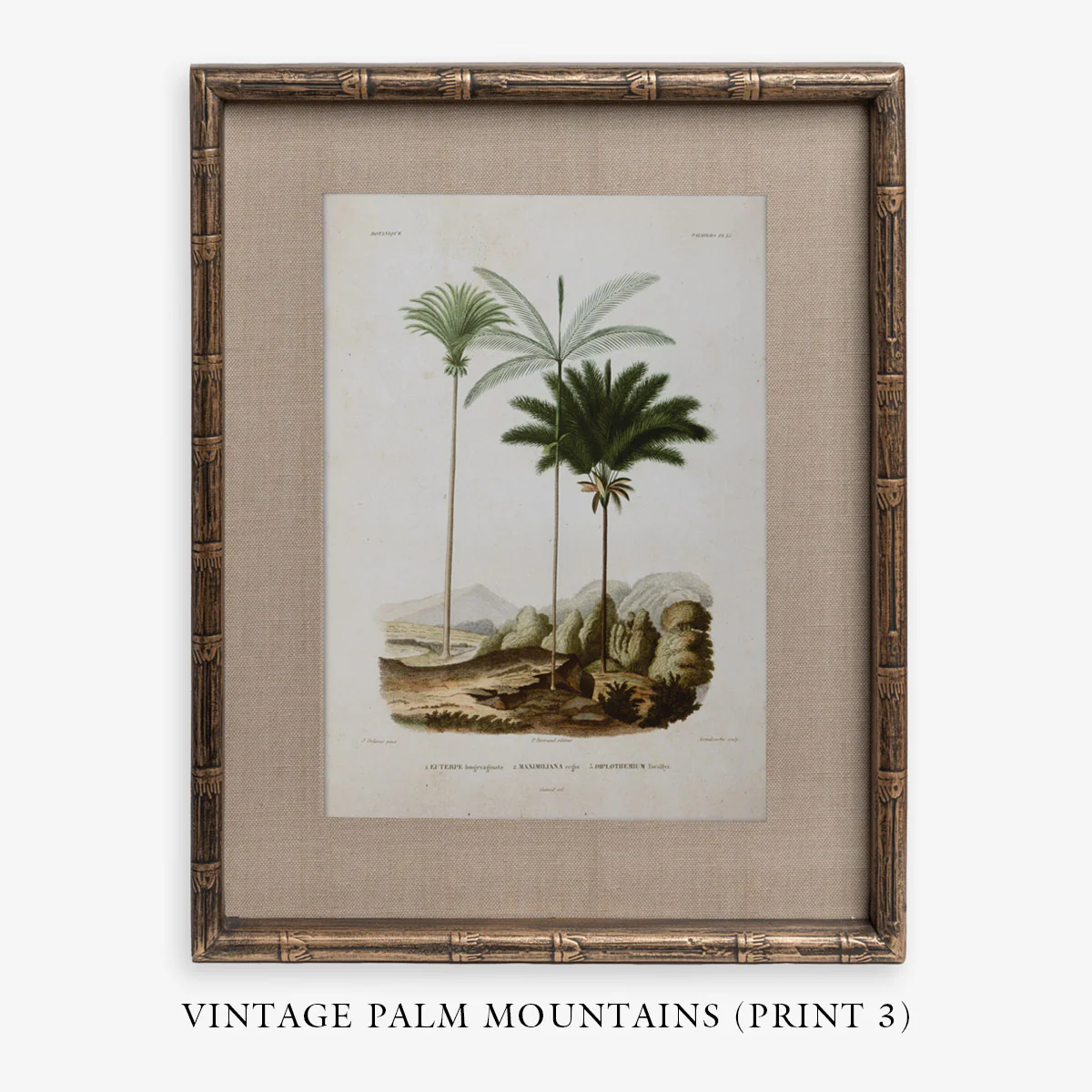 Vintage Palm People Walking (Print 2) - Image 6