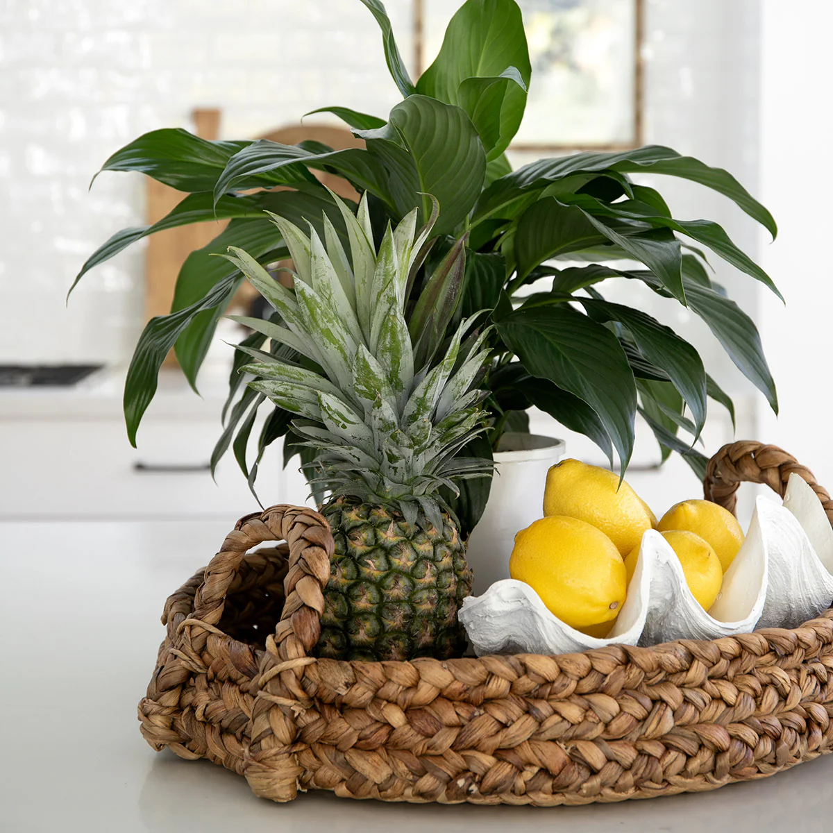 Water Hyacinth Trays With Handles Round - Image 2